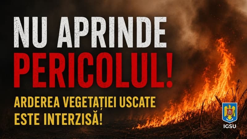 Incendiu izbucnit pe un câmp de la marginea localității Românești