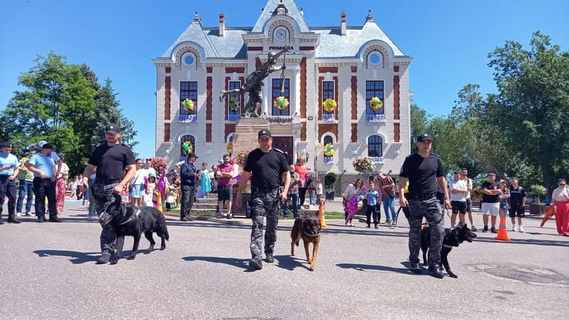 Jandarmii botoșăneni, mobilizați în minivacanța de Rusalii și 1 Iunie
