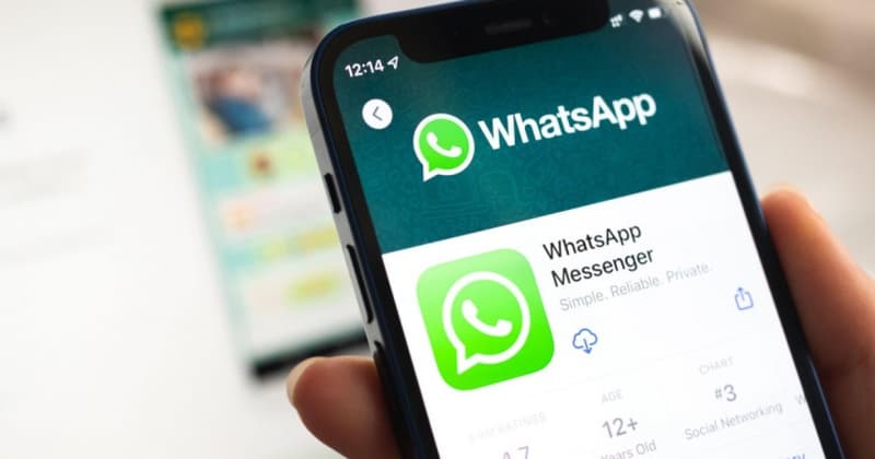 Avertisment privind o nouă înșelătorie pe WhatsApp: nu votați pentru Sophie sau Eliska și nu deschideți linkul