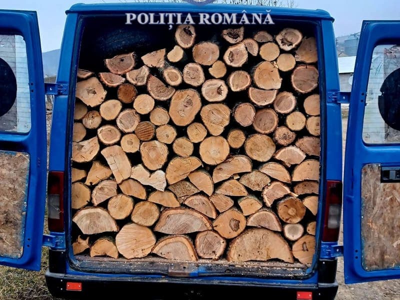 Material lemnos confiscat de polițiști în Dorohoi