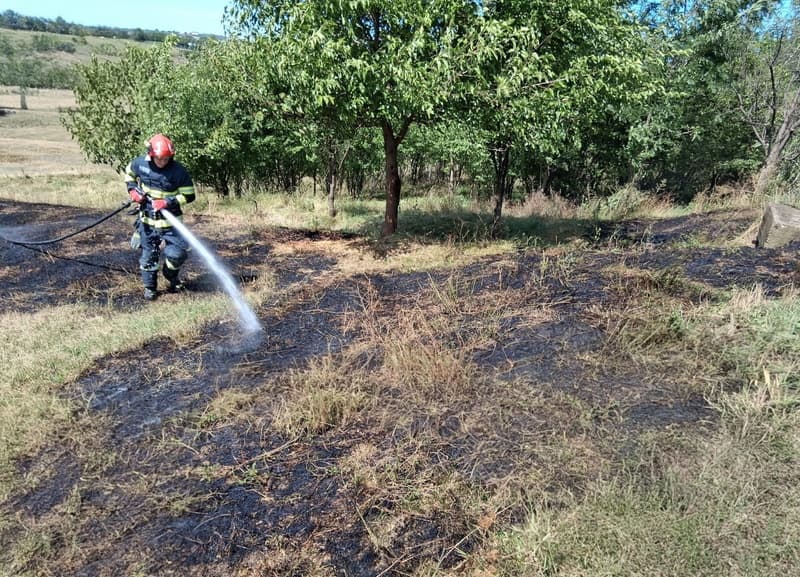 Trei incendii de vegetație uscată, la un pas să se extindă la locuințe, în județul Botoșani