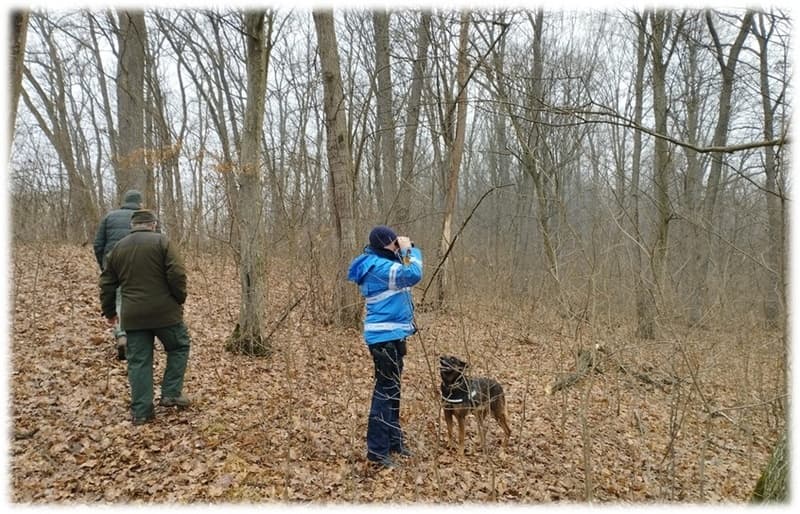 Jandarmii au acționat pentru protejarea fondului forestier si combaterea faptelor ilegale din domeniul silvic