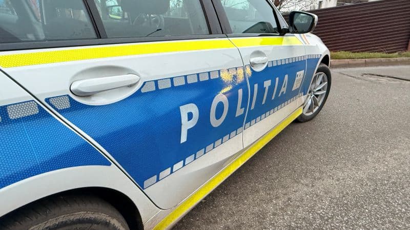 Reținuți după ce au furat un cal și două capre