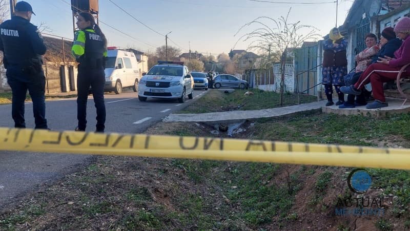 Ce a recunoscut la audieri nepotul care și-a ucis în bătaie bunica de 84 de ani, din comuna George Enescu