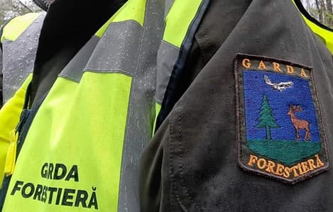 Acțiune amplă a polițiștilor pentru combaterea faptelor în domeniul silvic