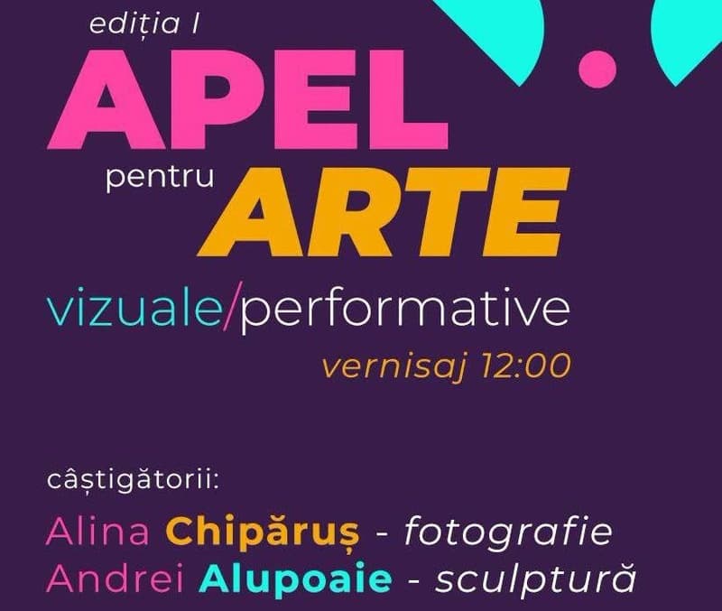 Rezultatele Apelului pentru Arte Vizuale și Performative – Ediția I