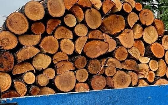 4,5 metri cubi de lemn confiscați în urma unor controale în Vârfu Câmpului și Havârna