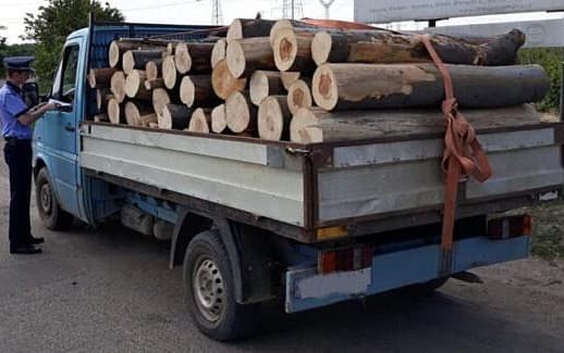 Material lemnos confiscat de polițiști la Roma. Conducătorul auto se afla sub influența alcoolului