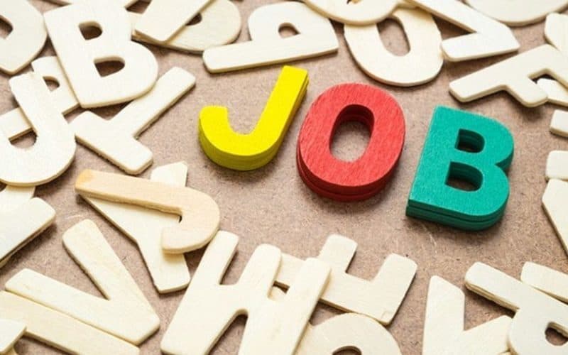 1.505 persoane angajate prin intermediul AJOFM Botoșani în perioada ianuarie-august 2026