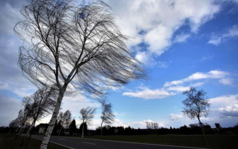 Nu scăpăm de vânt! Meteorologii au actualizat un nou cod galben pentru județul Botoșani