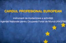 Comunicat de presă AJOFM Botoșani - Cardul Profesional European 2 vine în sprijinul activităţii SPO