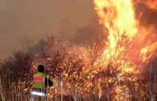 Început de aprilie incendiar pentru pompierii botoșăneni