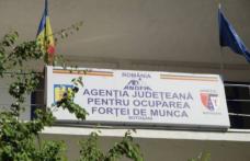 Peste cinci sute de posturi vacante, anunțate de AJOFM Botoșani