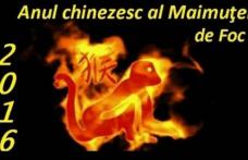 Horoscop chinezesc 2016. Anul Maimuţei de Foc. Citeşte previziunile pentru zodia ta