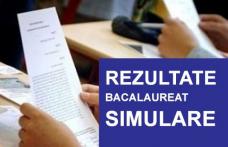 Află când vor fi afişate rezultatele la simularea examenului de Bacalaureat