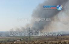 Aproximativ 70 de hectare distruse într-un incendiu! Pompierii dorohoieni s-au luptat nouă ore cu flăcările! - FOTO