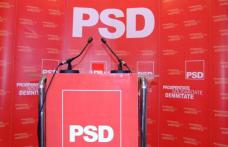 PSD-iştii şi-au stabilit candidatul pentru Consiliul Județean