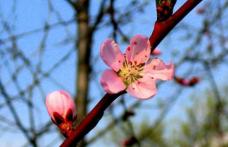 Veşti bune de la meteorologi. Temperaturi de până la 25 de grade Celsius