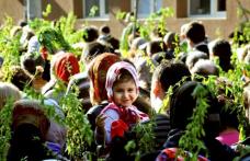 Tradiţii şi obiceiuri de Duminica Floriilor. Ce semnificaţia are salcia sfinţită