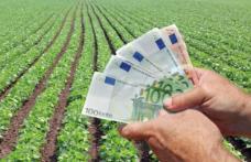 S-a înfiinţat azi o nouă funcţie în România: ataşatul agricol. Ce este şi ce salariu primeşte