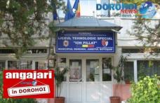 Liceul Tehnologic Special „Ion Pilat” Dorohoi angajează șofer! Vezi condițiile!