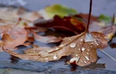 Prognoza meteo - Temperaturi scăzute în următoarele zile