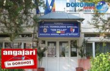 Liceul Tehnologic Special „Ion Pillat” Dorohoi angajează. Vezi detalii!