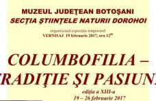 „Columbofilia – tradiţie şi pasiune” expoziţie la Muzeul de Ştiinţele Naturii Dorohoi