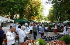 Târgul Meșterilor Populari pe Pietonalul Unirii din Botoșani, la a XI-a ediție. Vezi când va avea loc deschiderea!