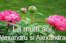 Mesaje, urări, sms-uri şi felicitări: LA MULŢI ANI, Alexandru, Alex şi Alexandra