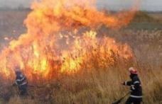 Stop incendiilor de vegetaţie uscată!