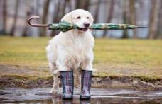 Vremea se răcește sever în toată țara. Prognoza meteo pentru următoarea perioadă