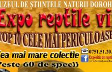 Expoziţie de „Reptile vii”, la Muzeul de Ştiinţele Naturii Dorohoi!