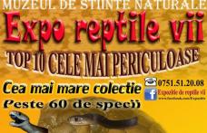 Expoziție de REPTILE VII la Muzeul de Științele Naturii Dorohoi. Vezi detalii!