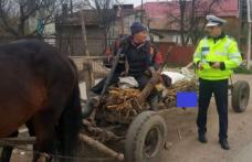 Cum au strâns poliţiştii botoșăneni peste 5.000 de lei de la căruţaşi, biciclişti și pietoni