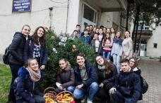 Colegiul Național Grigore Ghica Dorohoi: În „Săptămâna legumelor şi fructelor donate” se învaţă solidaritatea umană - FOTO