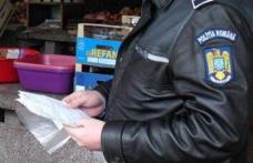 Trei comune din județ luate la verificat de polițiștii de la Serviciul de Investigare a Criminalităţii Economice