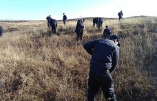 Jandarmii botoşăneni în campanie de împădurire. Natura poate exista fără oameni, dar oamenii nu pot supravieţui fără natură - FOTO