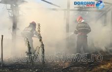 Furaje distruse de incendiu la Cobâla! Pompierii dorohoieni intervenit pentru stingere - FOTO