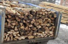 Acţiunea Scutul Pădurii: Amendă de 5 mii de lei transport de lemne fără documente legale