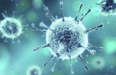 Alarmant! Mulți români au acest virus periculos fără să știe