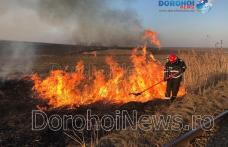 Incendiu în Dorohoi! Aproximativ zece hectare de vegetație uscată și stuf distruse de flăcări - FOTO