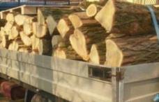 Transport de lemne, cu iz penal. Mai mulți metri cubi de material lemnos confiscat de poliţişti