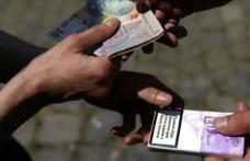 Traficul cu ţigări de contrabandă, una dintre principalele infracţionalităţi din județul Botoșani