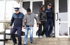 Trei tineri din Dorohoi prinși la furat de administratorul unei societăţi comerciale