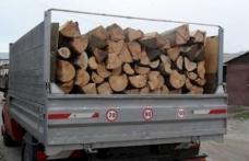 Transport ilegal de lemne, descoperit în trafic de poliţiştii din Dorohoi