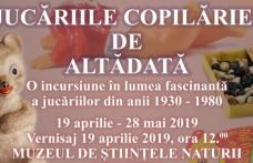 Expoziție de jucării la Dorohoi