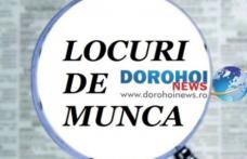 775 locuri de muncă disponibile în județul Botoșani