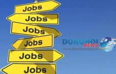 496 locuri de muncă vacante în Spaţiul Economic European 