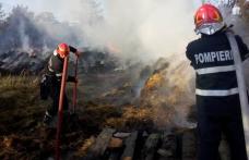 Incendiu Carasa: 40 de tone de furaje distruse. Vezi cauza izbucnirii!